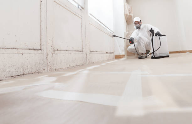 24/7 Emergency Attic Mold Removal experts in Warminster, PA